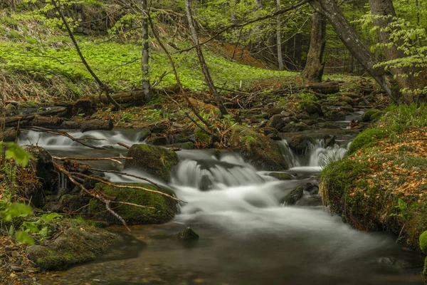 Bahar mevsiminde Pommerbach deresi Buchenau köyü yakınlarında serin ve bulutlu bir akşam.