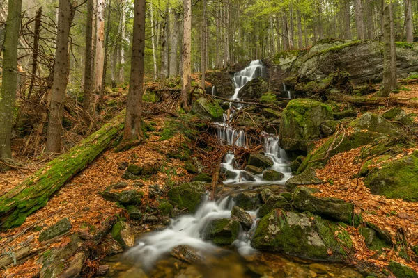 Geigenbachfalle şelalesi Almanya 'da Groser Arber Tepesi yakınlarında bahar sabahı