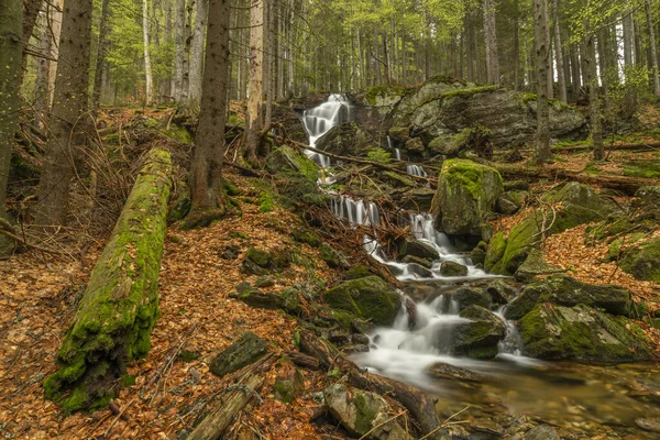 Geigenbachfalle şelalesi Almanya 'da Groser Arber Tepesi yakınlarında bahar sabahı