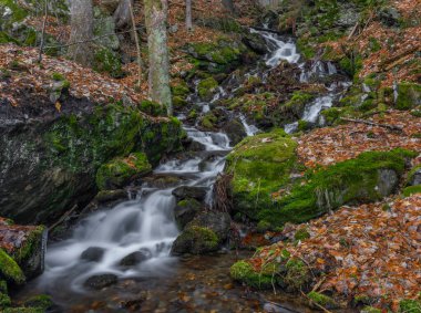 Krkonose dağlarında Jizera nehri ile kesişen şelaleli Prudky rucej deresi