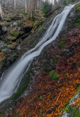 Krkonose dağlarında Jizera nehri ile kesişen şelaleli Prudky rucej deresi