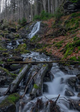 Krkonose dağlarında Jizera nehri ile kesişen şelaleli Prudky rucej deresi