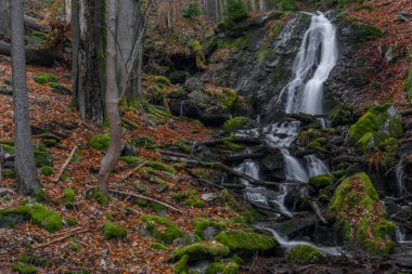 Krkonose dağlarında Jizera nehri ile kesişen şelaleli Prudky rucej deresi