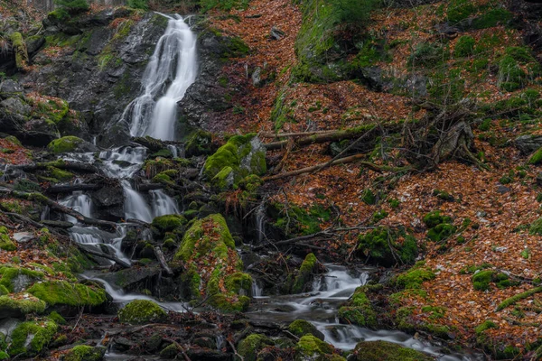 Prudky Rucej Creek Waterfall Confluence Jizera River Krkonose Mountains — стоковое фото