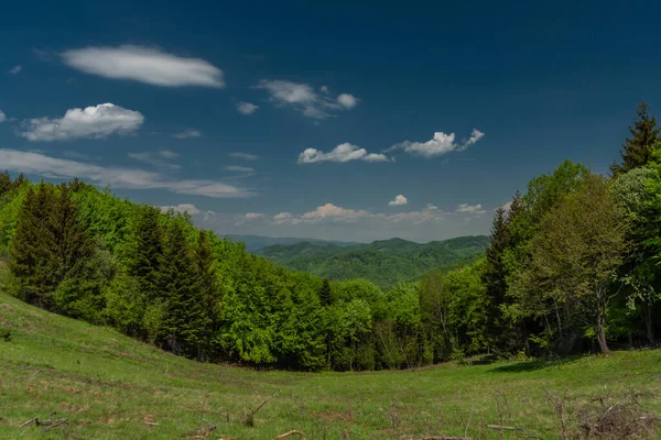 Krajobraz Pobliżu Miasta Banska Stiavnica Sping Świeży Kolor Piękny Poranek — Zdjęcie stockowe