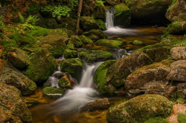 Jizerske dağlarındaki Jedlova deresi bahar bulutlu sabahında