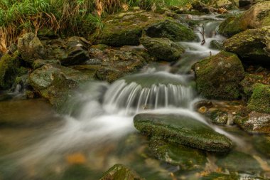 Plomnica deresi yakında bahar sabahı Karpacz kasabası yakınlarında.