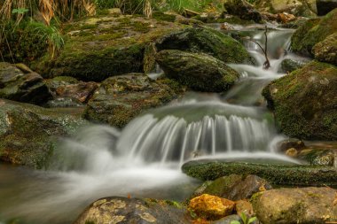 Plomnica deresi yakında bahar sabahı Karpacz kasabası yakınlarında.