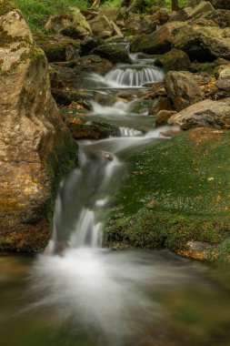 Plomnica deresi yakında bahar sabahı Karpacz kasabası yakınlarında.