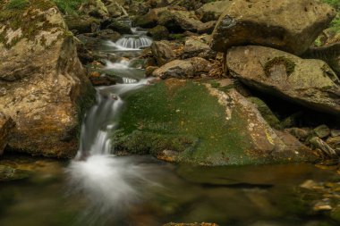 Plomnica deresi yakında bahar sabahı Karpacz kasabası yakınlarında.