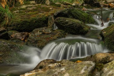Plomnica deresi yakında bahar sabahı Karpacz kasabası yakınlarında.