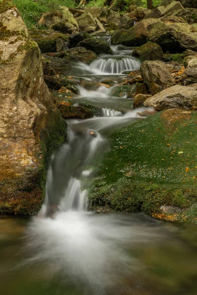 Plomnica deresi yakında bahar sabahı Karpacz kasabası yakınlarında.