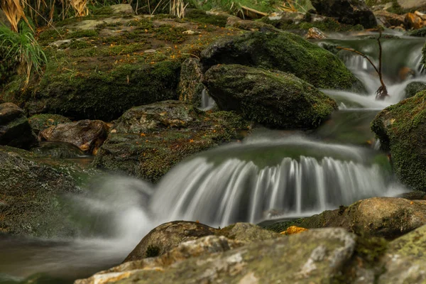 Plomnica deresi yakında bahar sabahı Karpacz kasabası yakınlarında.