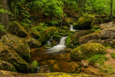 Jizerske dağlarındaki Jedlova deresi bahar bulutlu sabahında