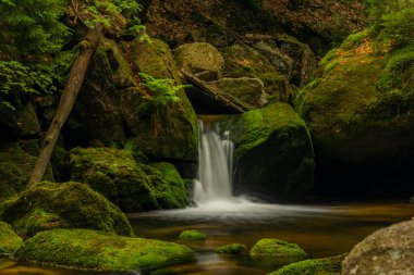 Jizerske dağlarındaki Jedlova deresi bahar bulutlu sabahında