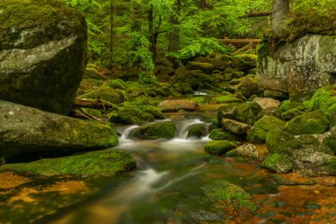 Jizerske dağlarındaki Jedlova deresi bahar bulutlu sabahında