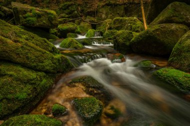 Jizerske dağlarındaki Jedlova deresi bahar bulutlu sabahında