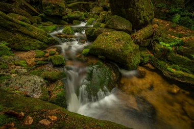 Jizerske dağlarındaki Jedlova deresi bahar bulutlu sabahında