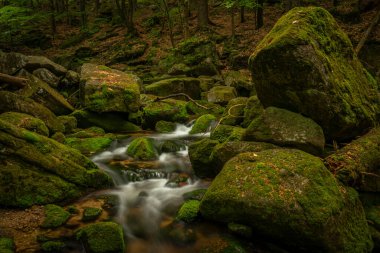 Jizerske dağlarındaki Jedlova deresi bahar bulutlu sabahında