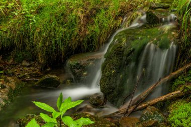 Plomnica deresi yakında bahar sabahı Karpacz kasabası yakınlarında.