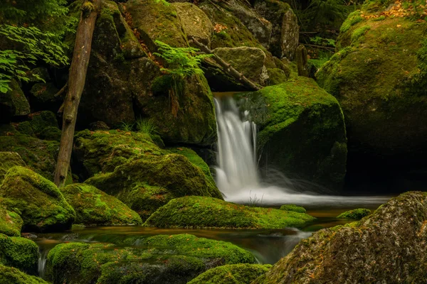 Creek Jedlova Montagne Jizerske Primavera Mattina Nuvolosa — Foto Stock