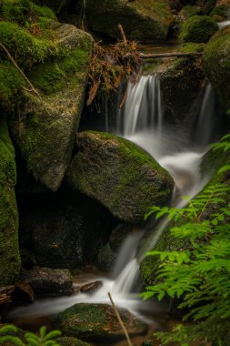 Bahar günü Krkonose dağlarındaki Borowice köyü yakınlarındaki Jodlowka Deresi Şelalesi