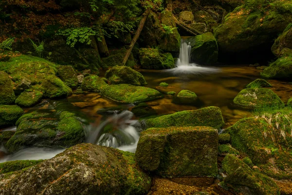 Creek Jedlova Montagne Jizerske Primavera Mattina Nuvolosa — Foto Stock