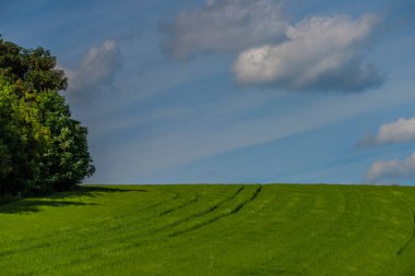 Yazın Roprachtice köyü yakınlarında mavi gökyüzü olan manzara