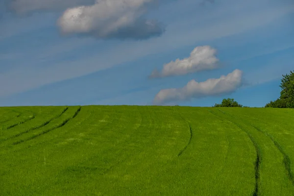 Landschap Met Blauwe Lucht Buurt Van Roprachtice Dorp Zomer Kleur — Stockfoto