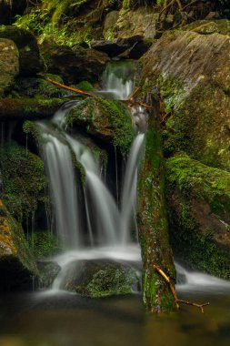 Plomnica deresi yakında bahar sabahı Karpacz kasabası yakınlarında.