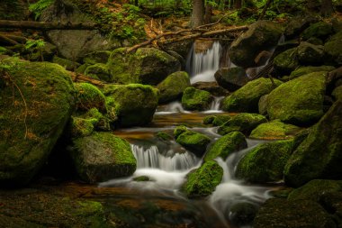 Jizerske dağlarındaki Jedlova deresi bahar bulutlu sabahında