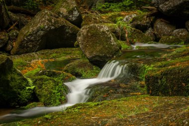 Jizerske dağlarındaki Jedlova deresi bahar bulutlu sabahında