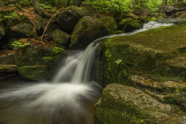 Jizerske dağlarındaki Jedlova deresi bahar bulutlu sabahında