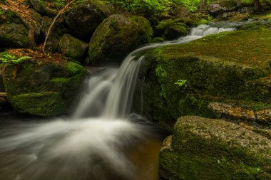 Jizerske dağlarındaki Jedlova deresi bahar bulutlu sabahında