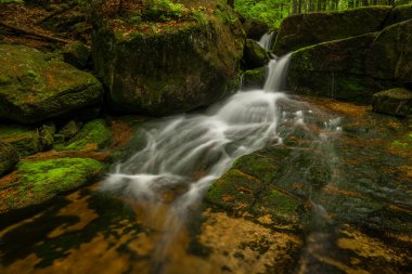 Jizerske dağlarındaki Jedlova deresi bahar bulutlu sabahında
