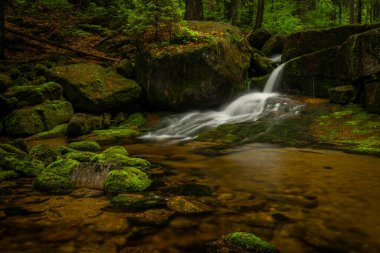 Jizerske dağlarındaki Jedlova deresi bahar bulutlu sabahında