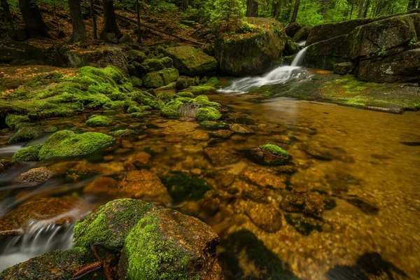 Jedlovský Potok Jizerských Horách Jarním Oblačném Ránu — Stock fotografie