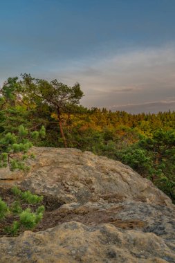 Kokorinsko bölgesi. Yaz aylarında ormanlar ve kayalar sıcak.