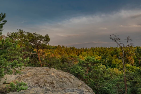 Kokorinsko Gebiet Mit Tiefen Wäldern Und Felsen Sommer Heißen Farbmorgen — Stockfoto