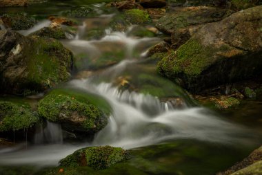 Plomnica deresi yakında bahar sabahı Karpacz kasabası yakınlarında.