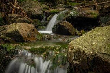 Plomnica deresi yakında bahar sabahı Karpacz kasabası yakınlarında.