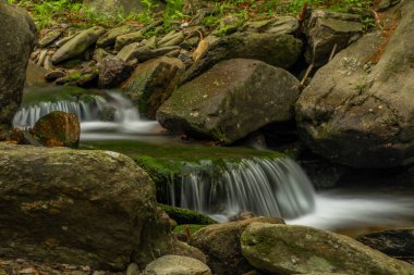 Plomnica deresi yakında bahar sabahı Karpacz kasabası yakınlarında.
