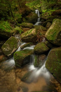 Bahar günü Krkonose dağlarındaki Borowice köyü yakınlarındaki Jodlowka deresi