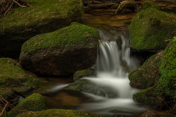 Jodlowka Bach Der Nähe Von Borowice Dorf Riesengebirge Frühling Tag — Stockfoto