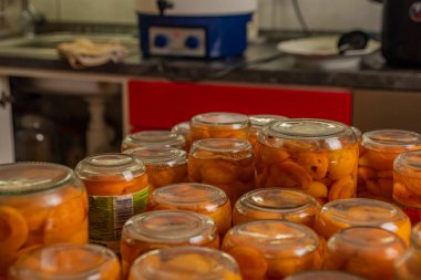 Yazın ortasında erkek arkadaşla birlikte kayısı kompostosu yapıyoruz.