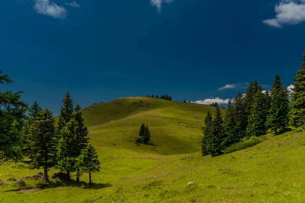 Beautiful Blue Sky Summer Day Velika Planina Mountains Color Slovenia — 스톡 사진
