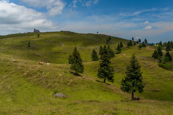 Slovenya Nın Velika Planina Dağlarında Güzel Mavi Gökyüzü Yaz Günü — Stok fotoğraf