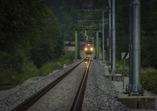 Trains Deep Valley River Sava Radovljica Town Summer Slovenia — Zdjęcie stockowe
