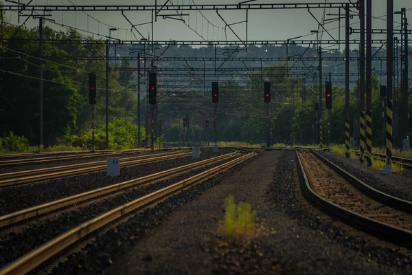 Railway Yard Prague Holesovice Station Summer Cloudy Color Evening — Stockfoto