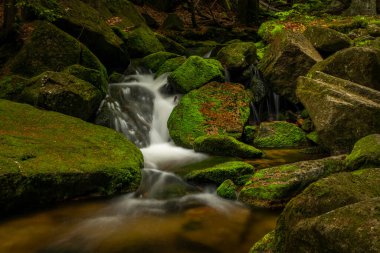Jizerske dağlarındaki Jedlova deresi bahar bulutlu sabahında